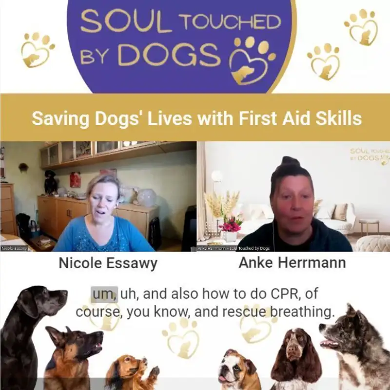 Podcast Nicole Essawy - Saving Dogs' Lives with First Aid Skills
