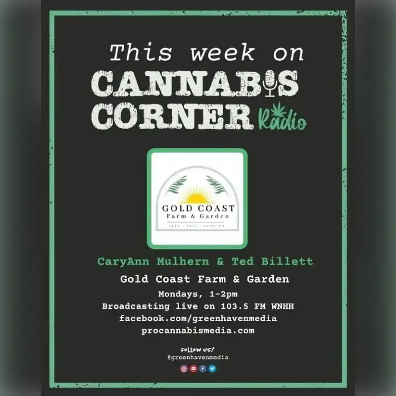 Cannabis Corner Radio: Mar 25, 2024