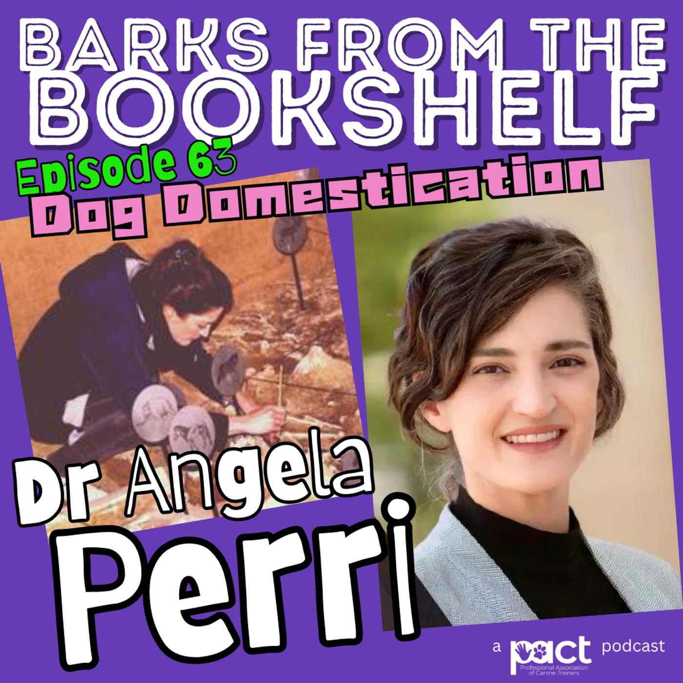 #63 Dr Angela Perri - Dog Domestication
