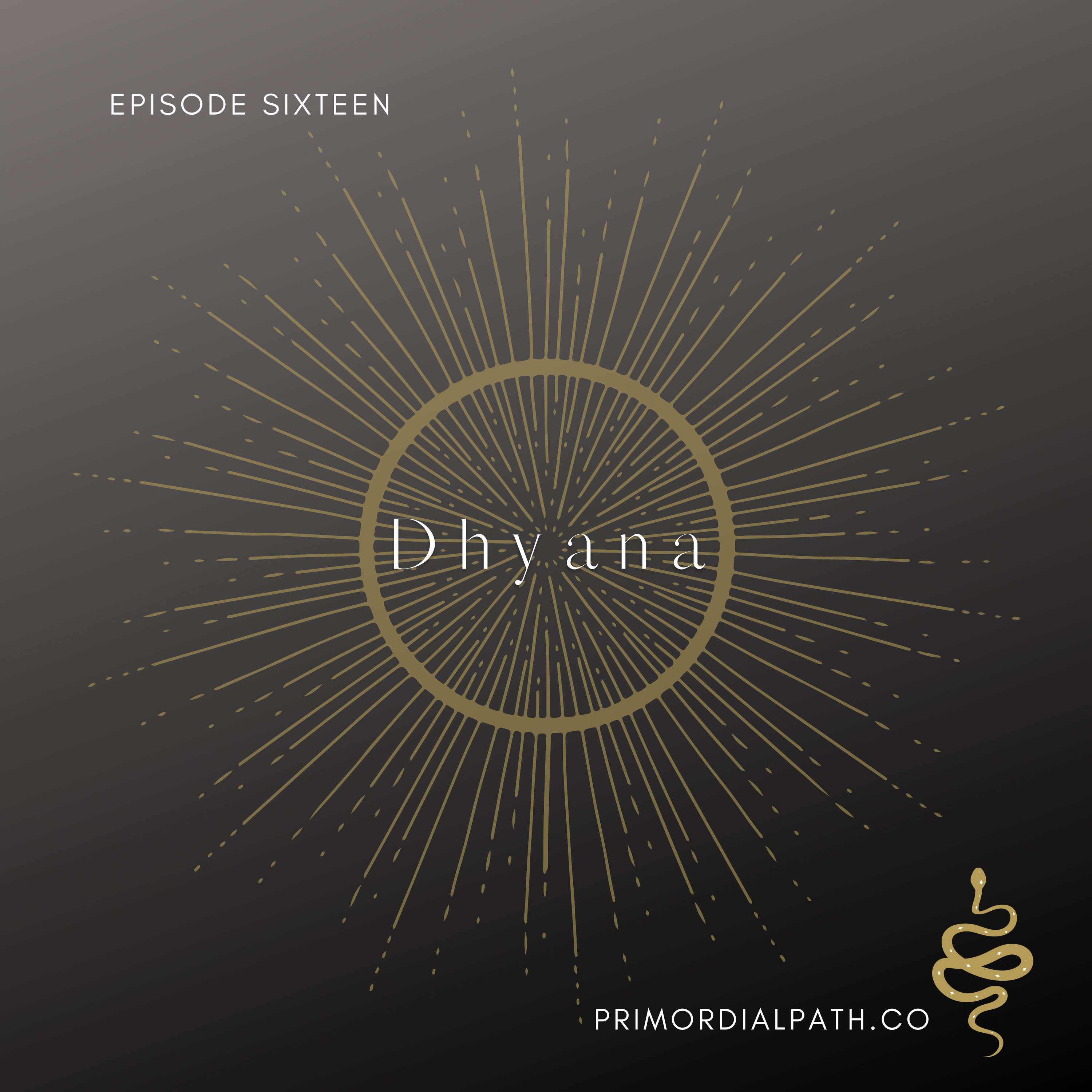 Primordial Path