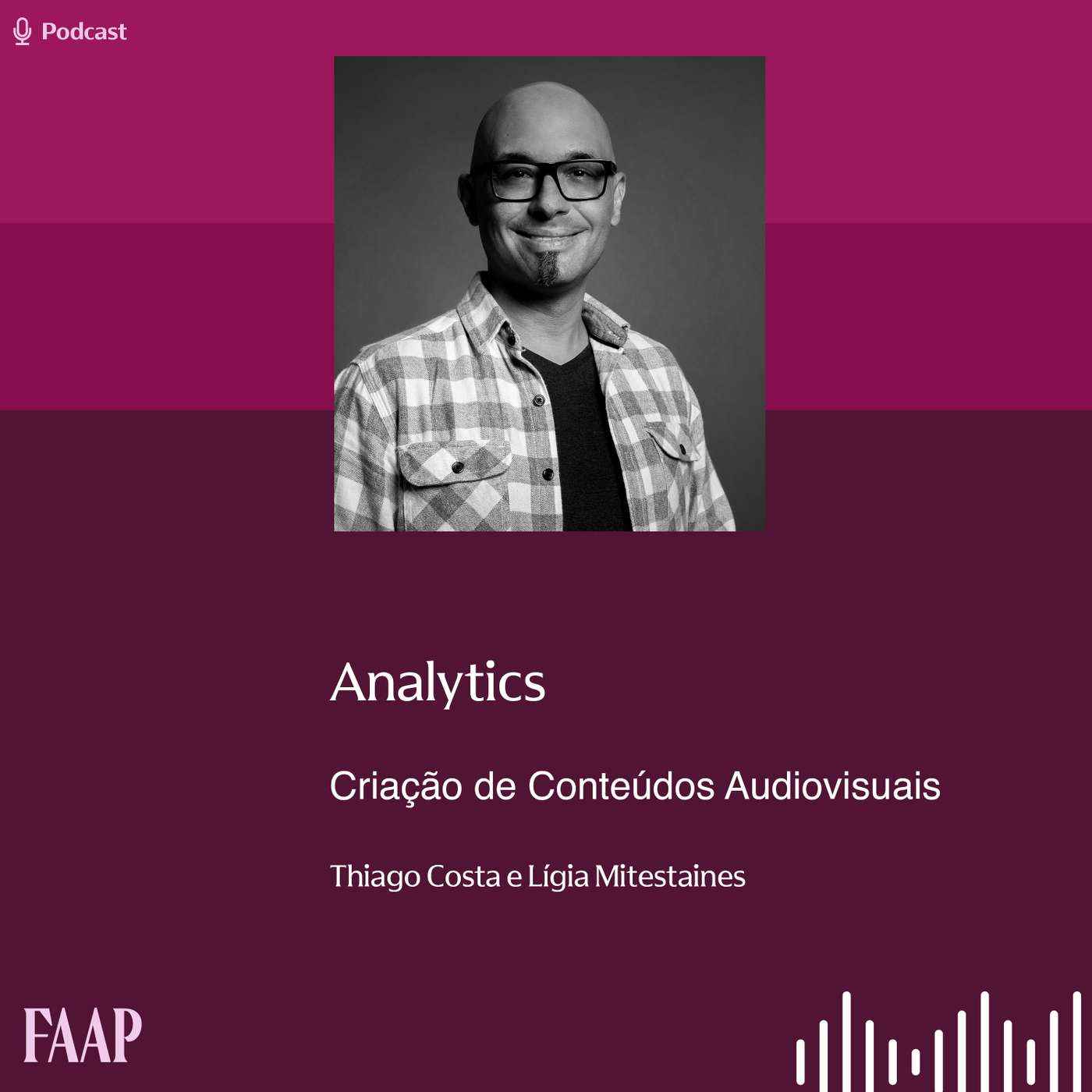 Analytics episode artwork
