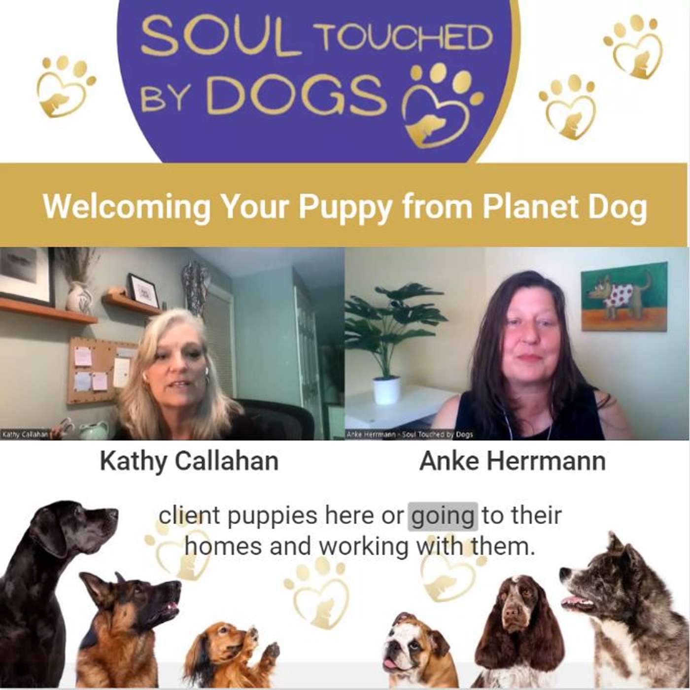 Soul Touched by Dogs