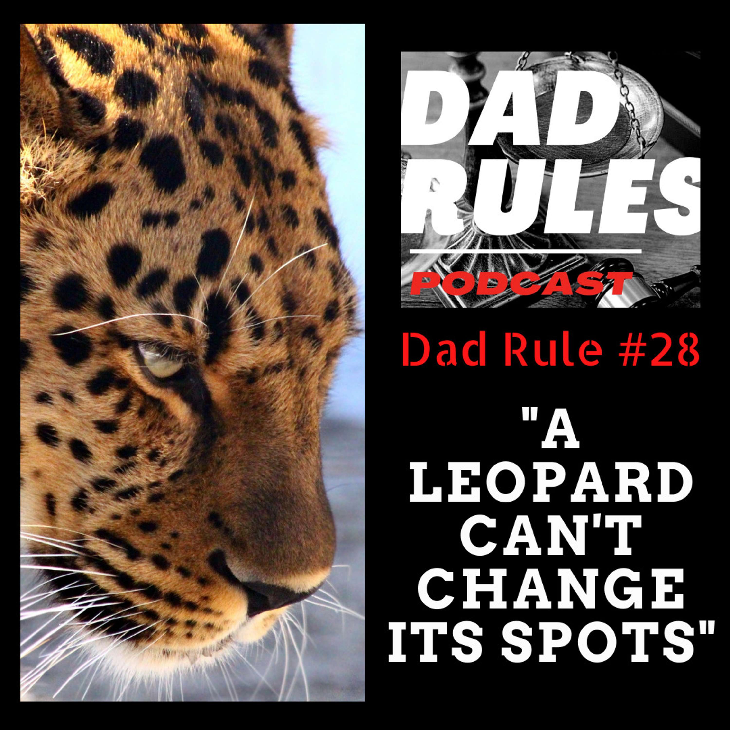 The Dad Rules Podcast