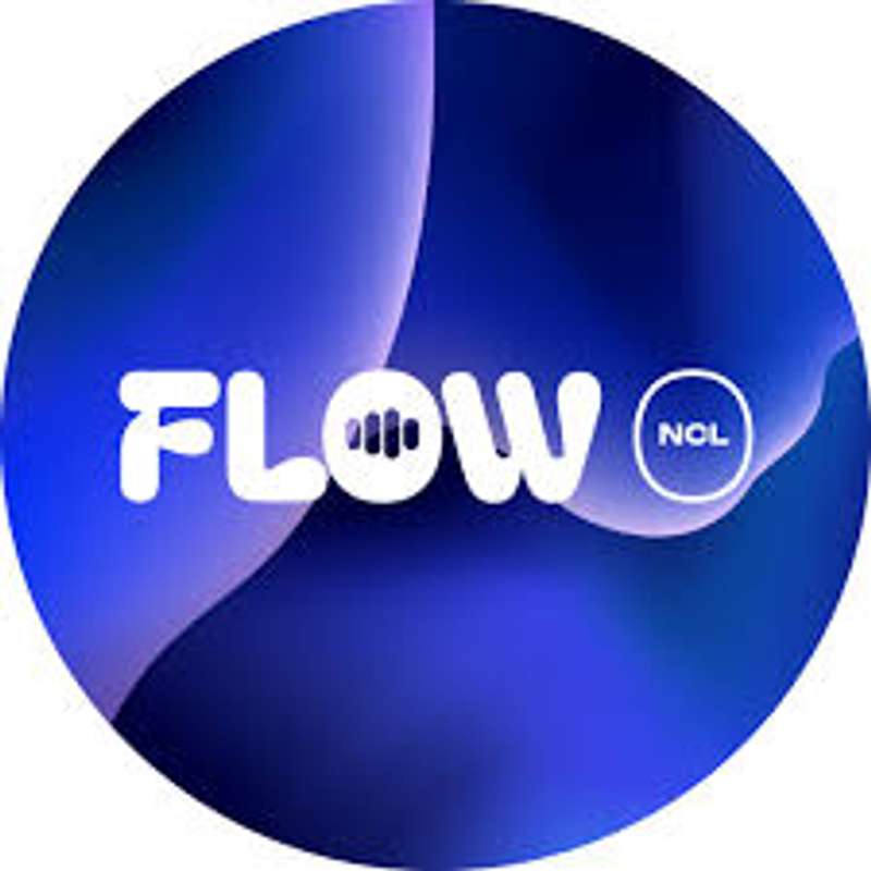 Flow NCL - Naughty Bear