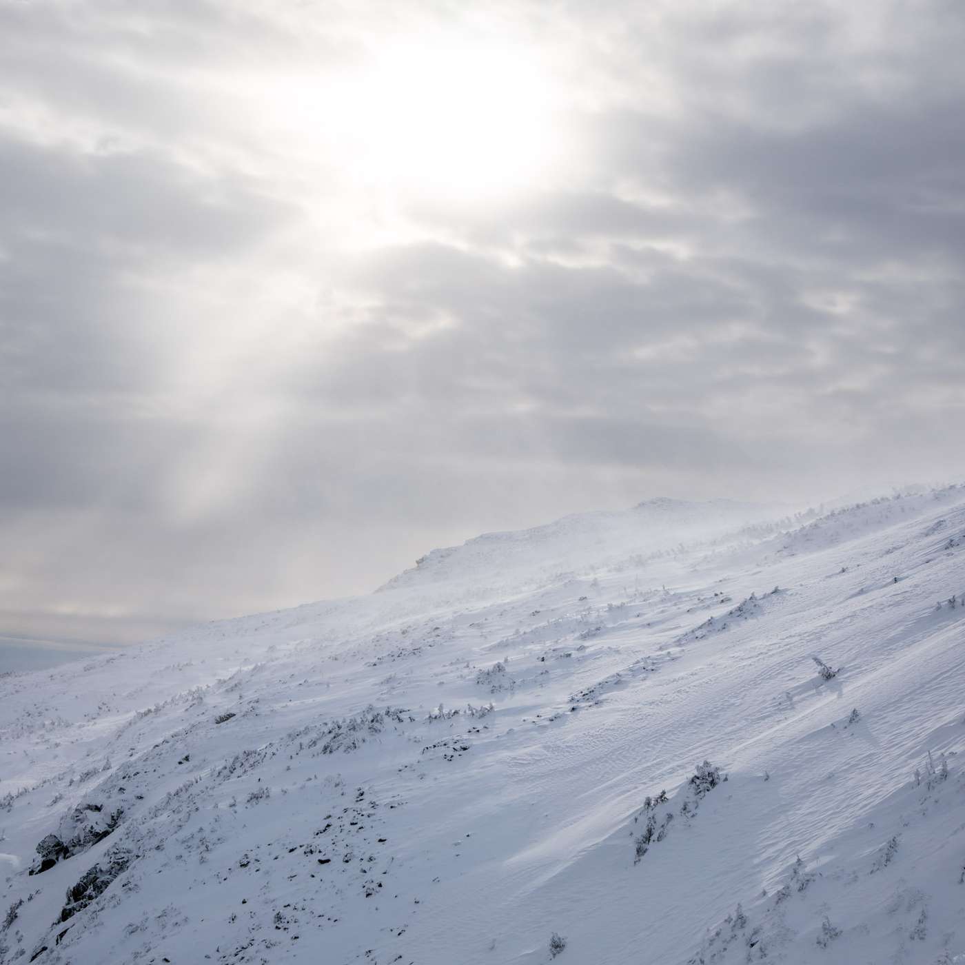 MWAC Outreach Jan 23 2021 - Partial Avalanche Burial in Left Gully