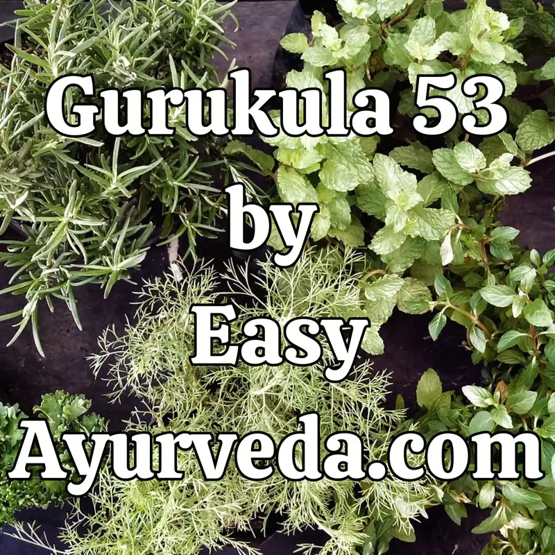 Gurukula 53: Controversy regarding the identity of medicinal plants mentioned in classical Ayurveda literature