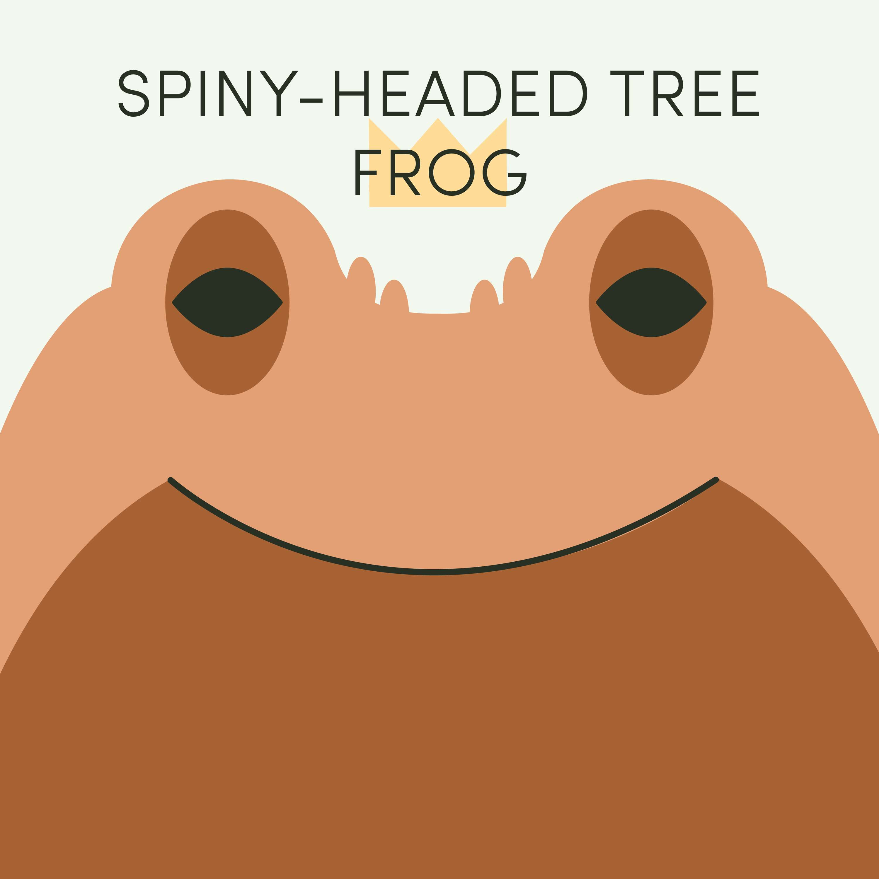 Spiny-Headed Tree Frog