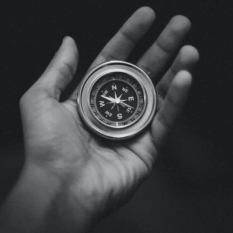 The Power of Ikigai
