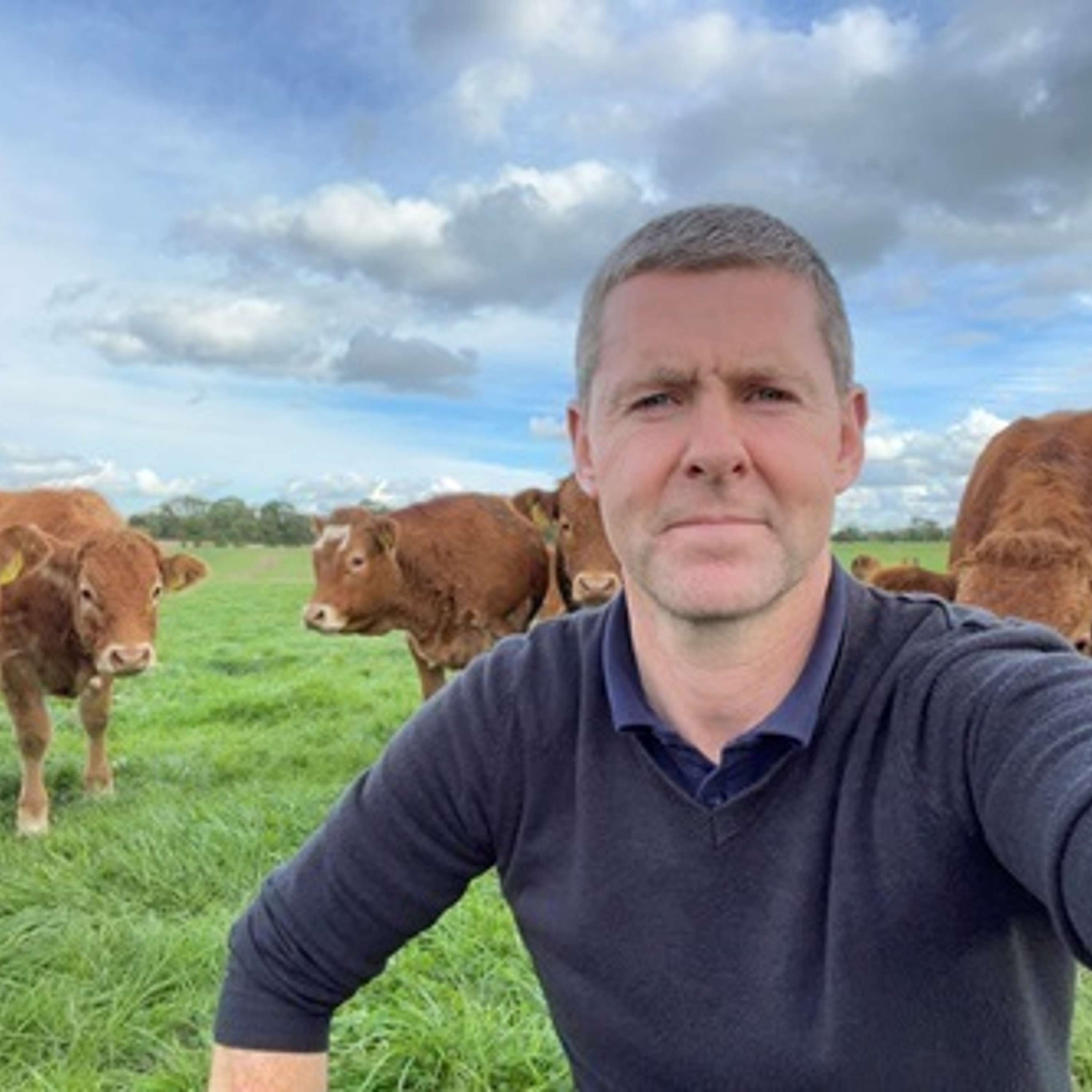 Autumn calving suckling to weanling system thriving in Co. Meath