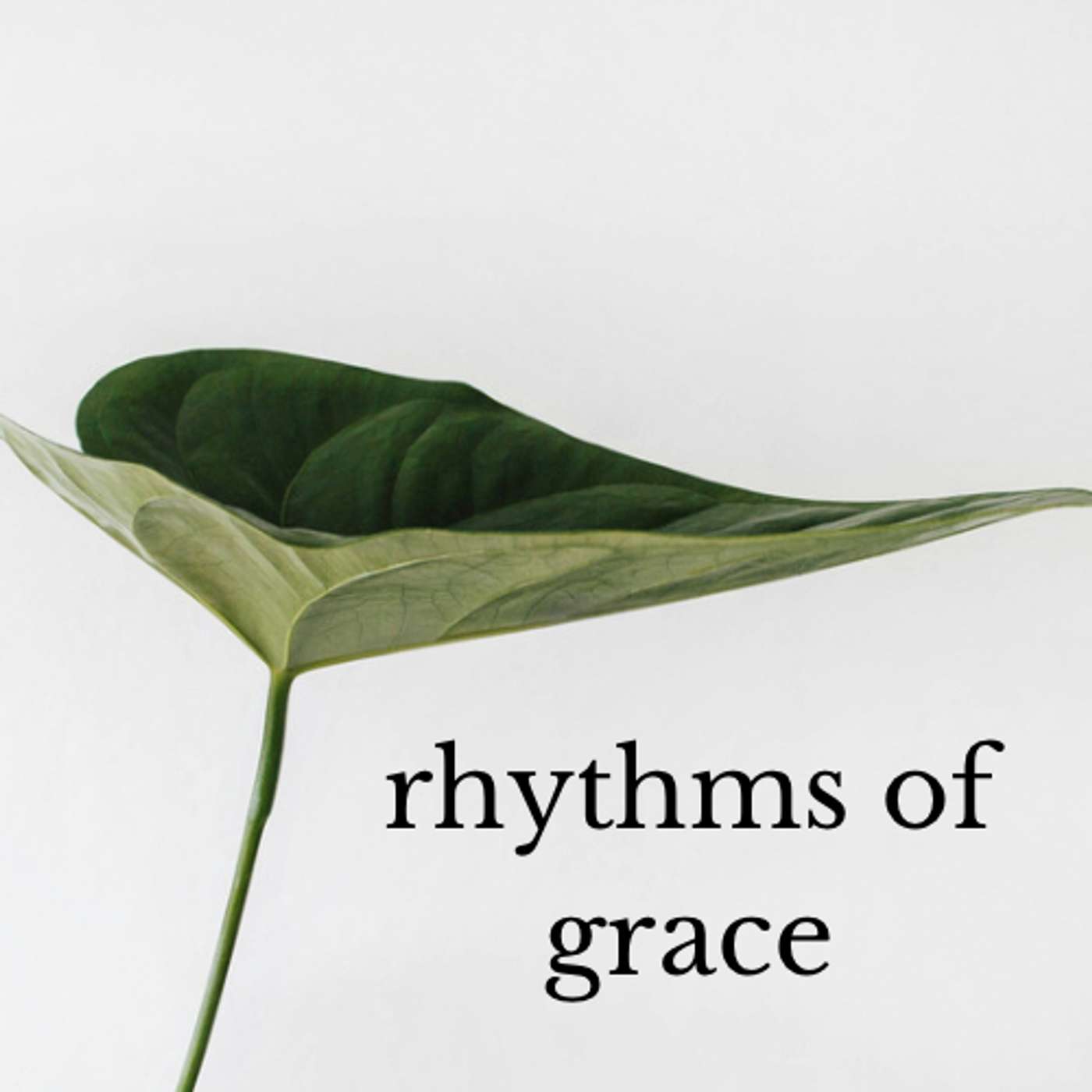 Rhythms of Grace - Fasting