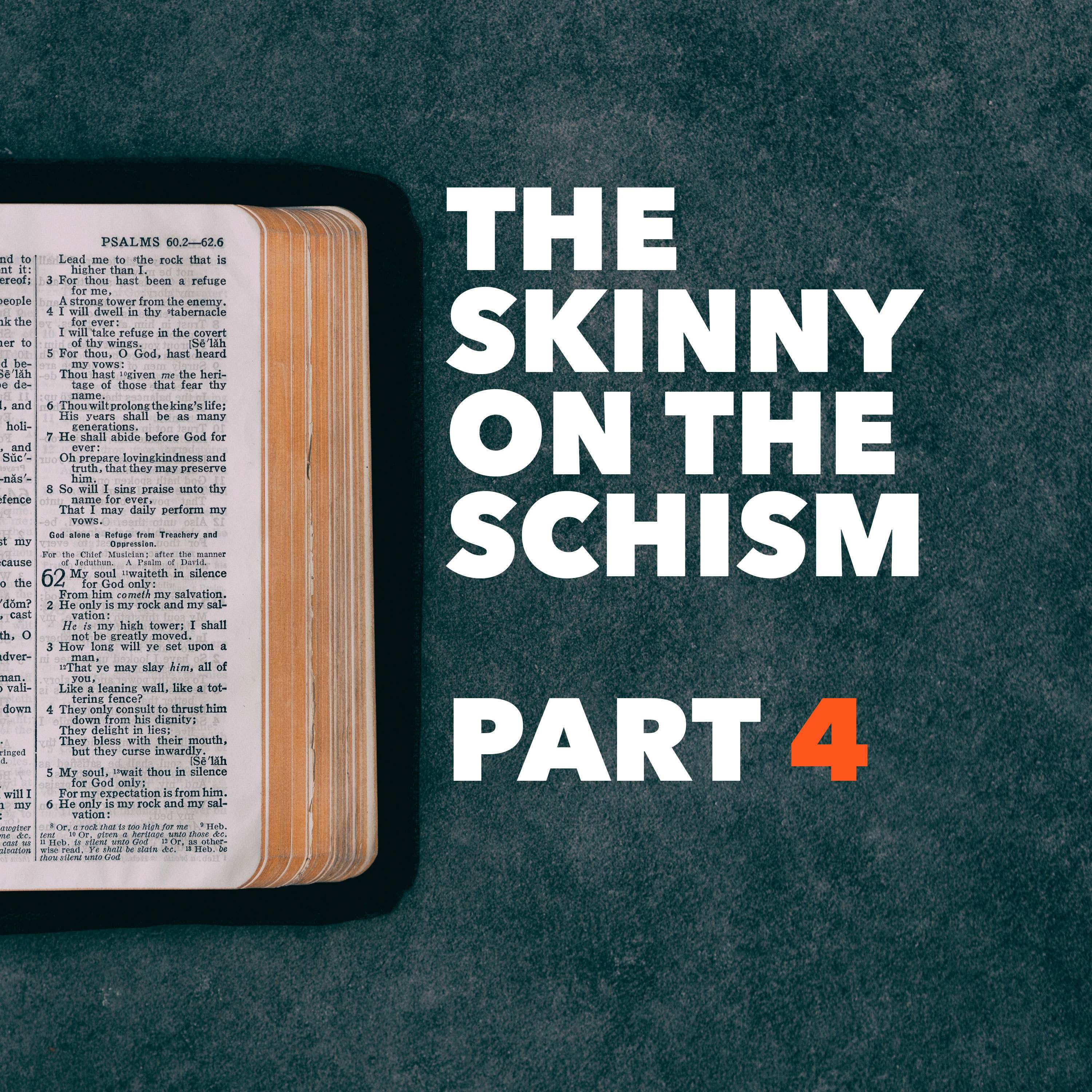 The Skinny on the Schism: Part 4