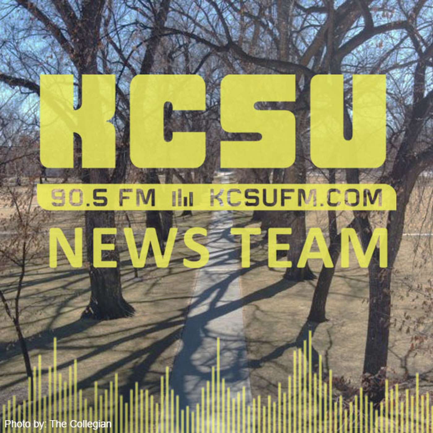 Man shot near CSU Oval, Larimer County child predator sting, dog sickness uptick