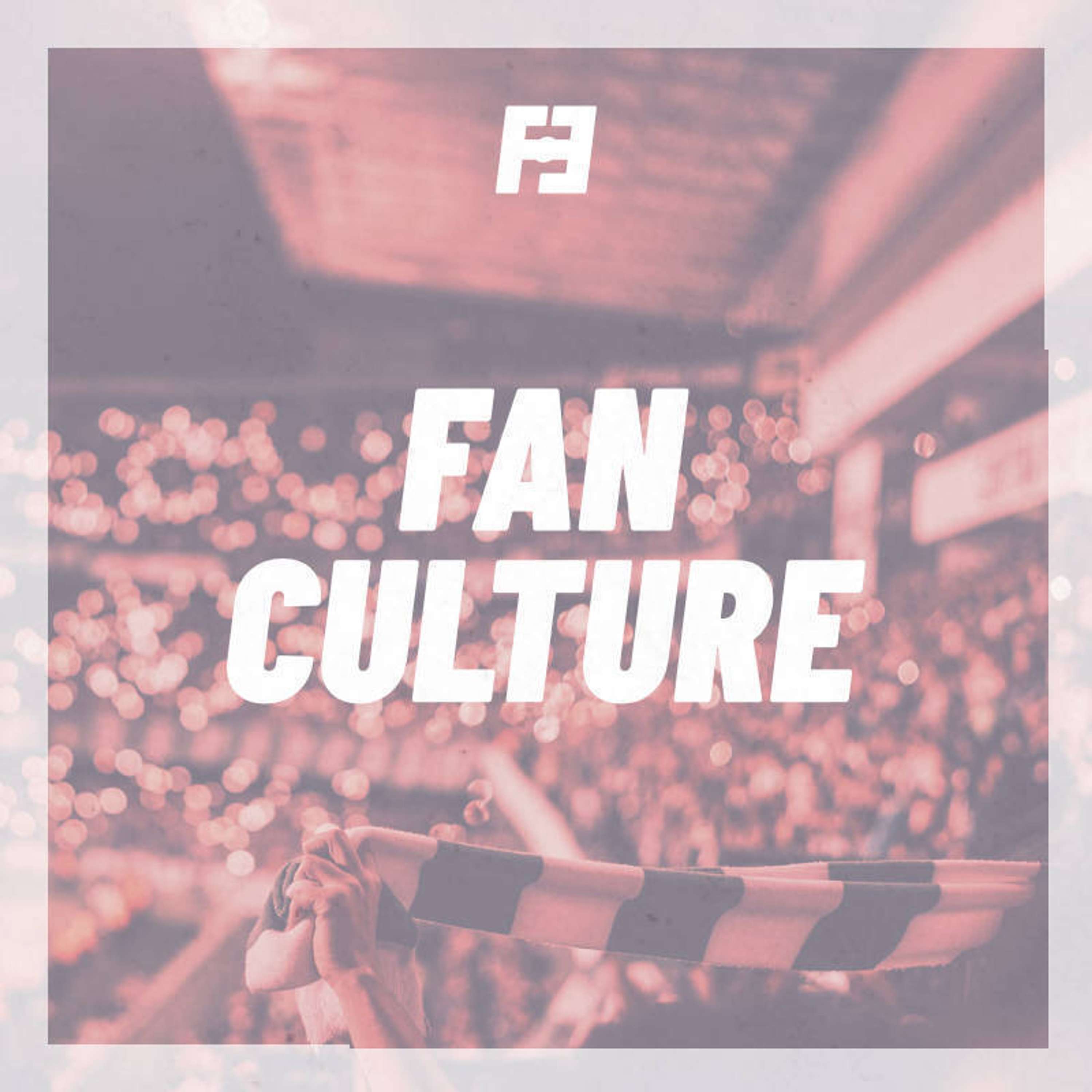 Fan Culture - podcast episode cover