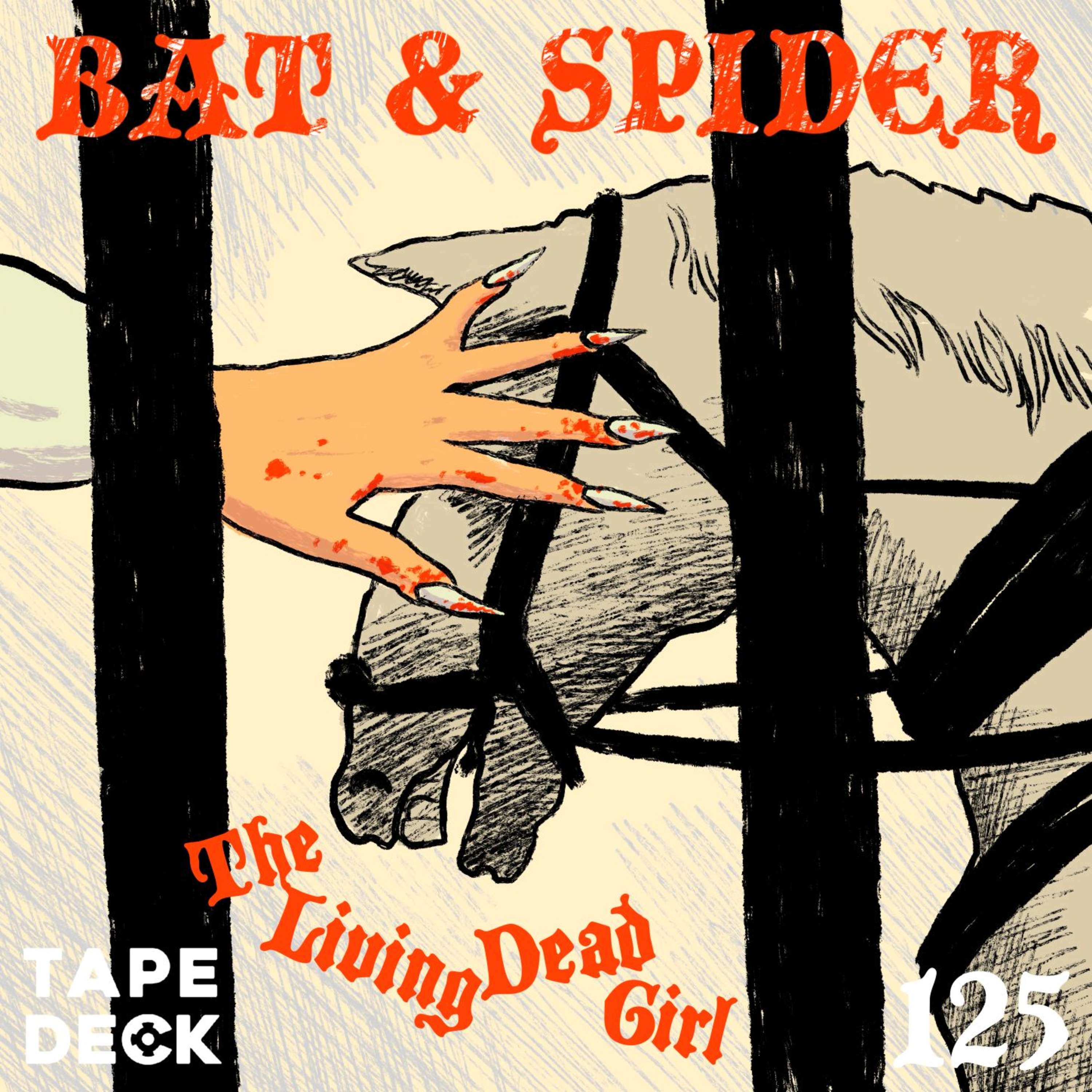BAT AND SPIDER