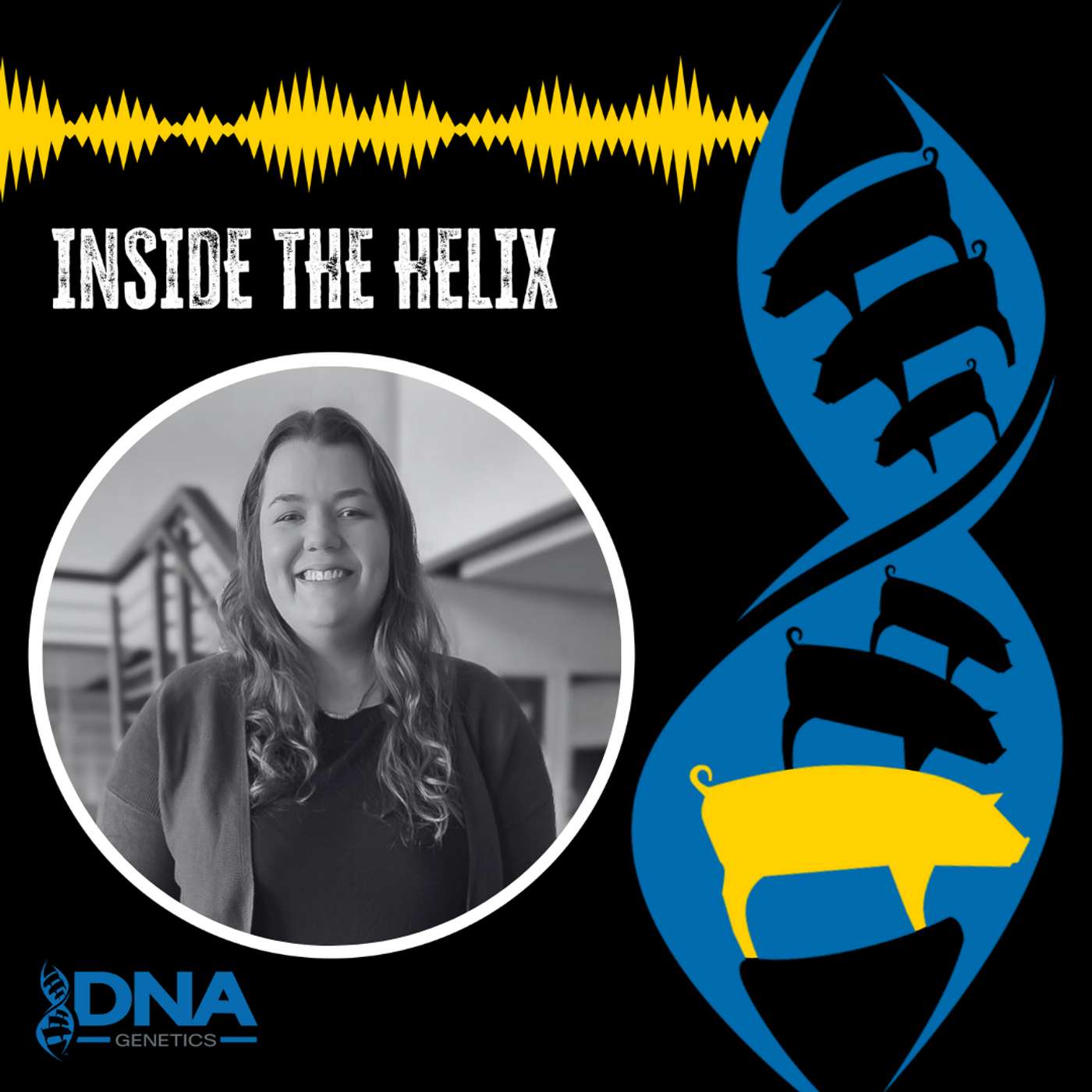 Inside the Helix
