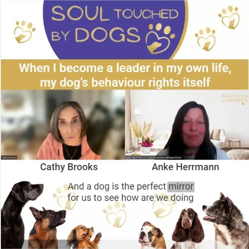 Cathy Brooks - When I Become a Leader in My Own Life, My Dog's Behaviour Rights Itself