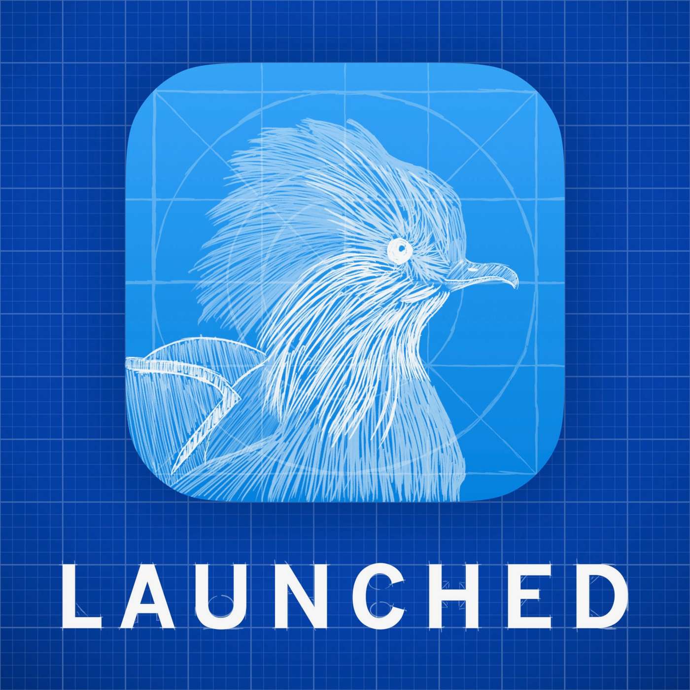 78: The Art of Fauna - Klemens Strasser 78: The Art of Fauna - Klemens Strasser