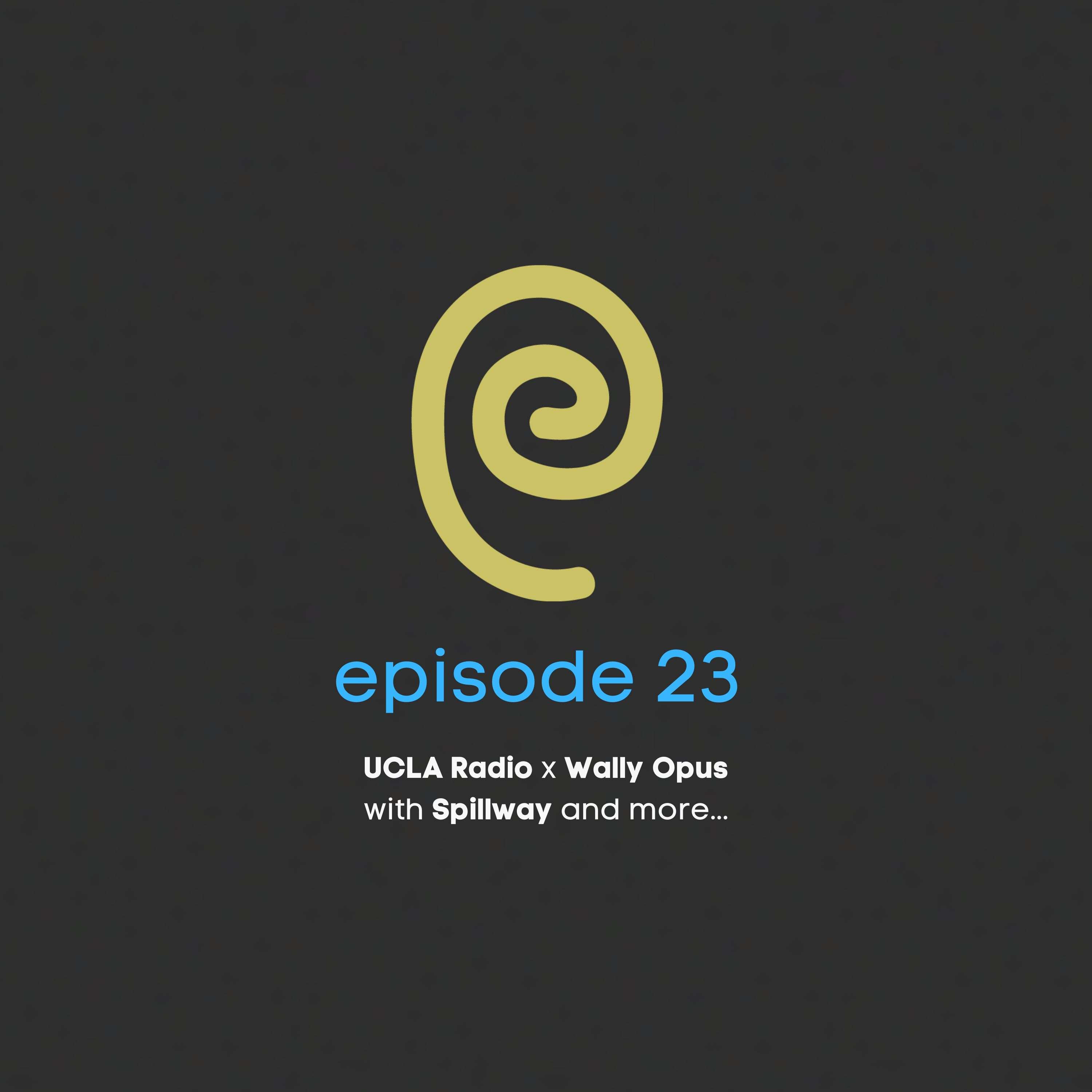 The Wally Opus Podcast