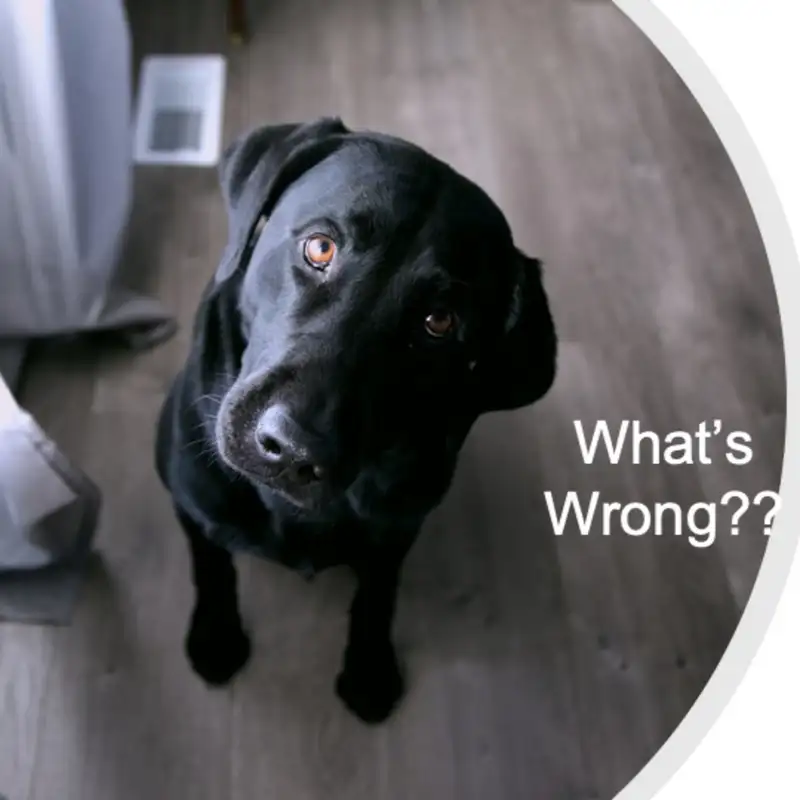What's Wrong?