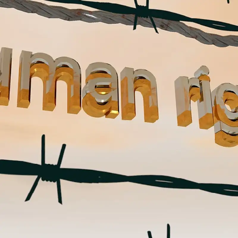DROITS HUMAINS - 2017 : bilan d'une année sous tension
