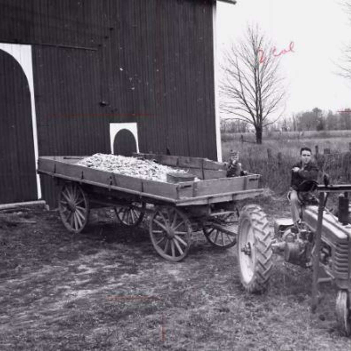 The Ned Garver Story - Farm Boy From Ney, OH - 1950's Major League Baseball Star