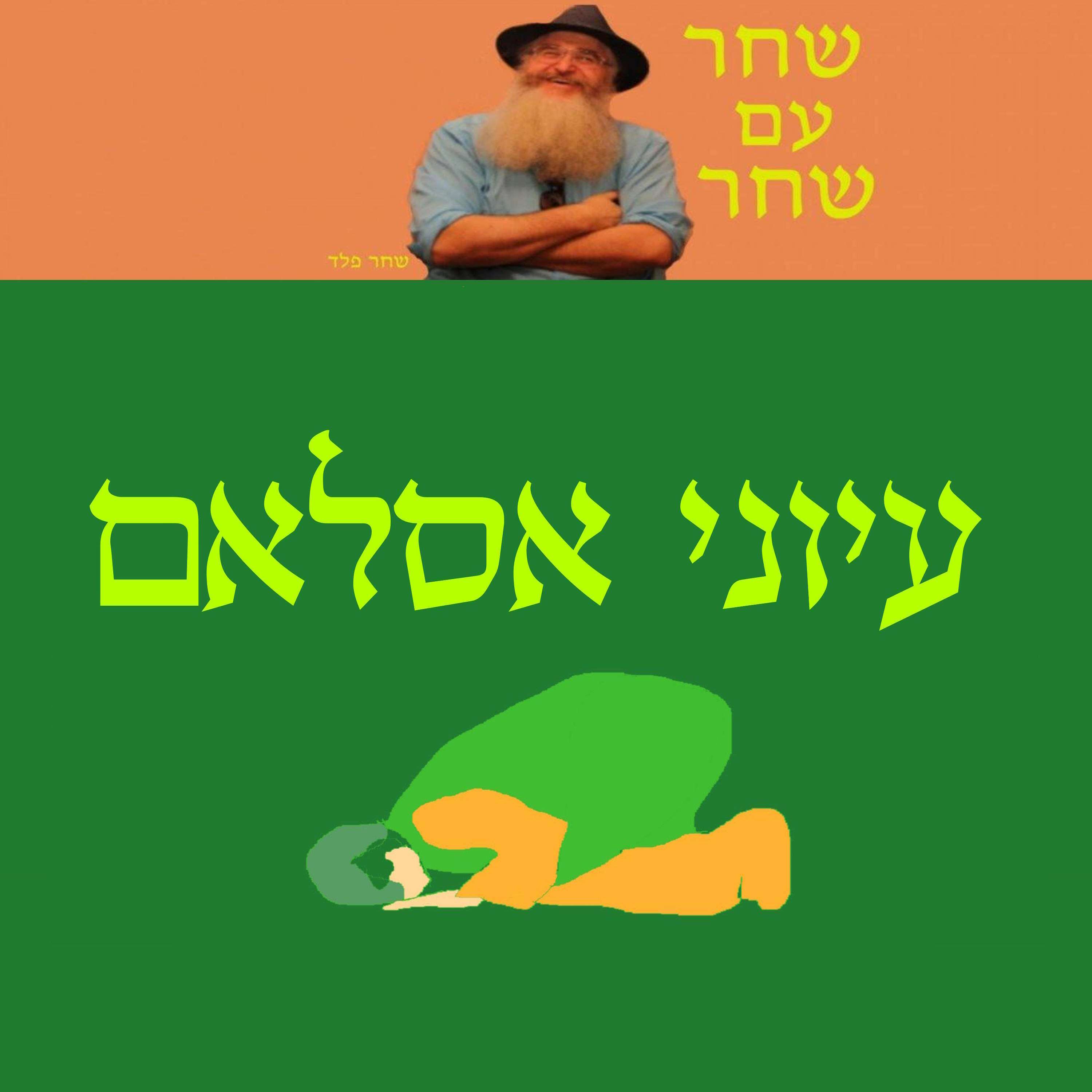 עיוני אסלאם podcast artwork