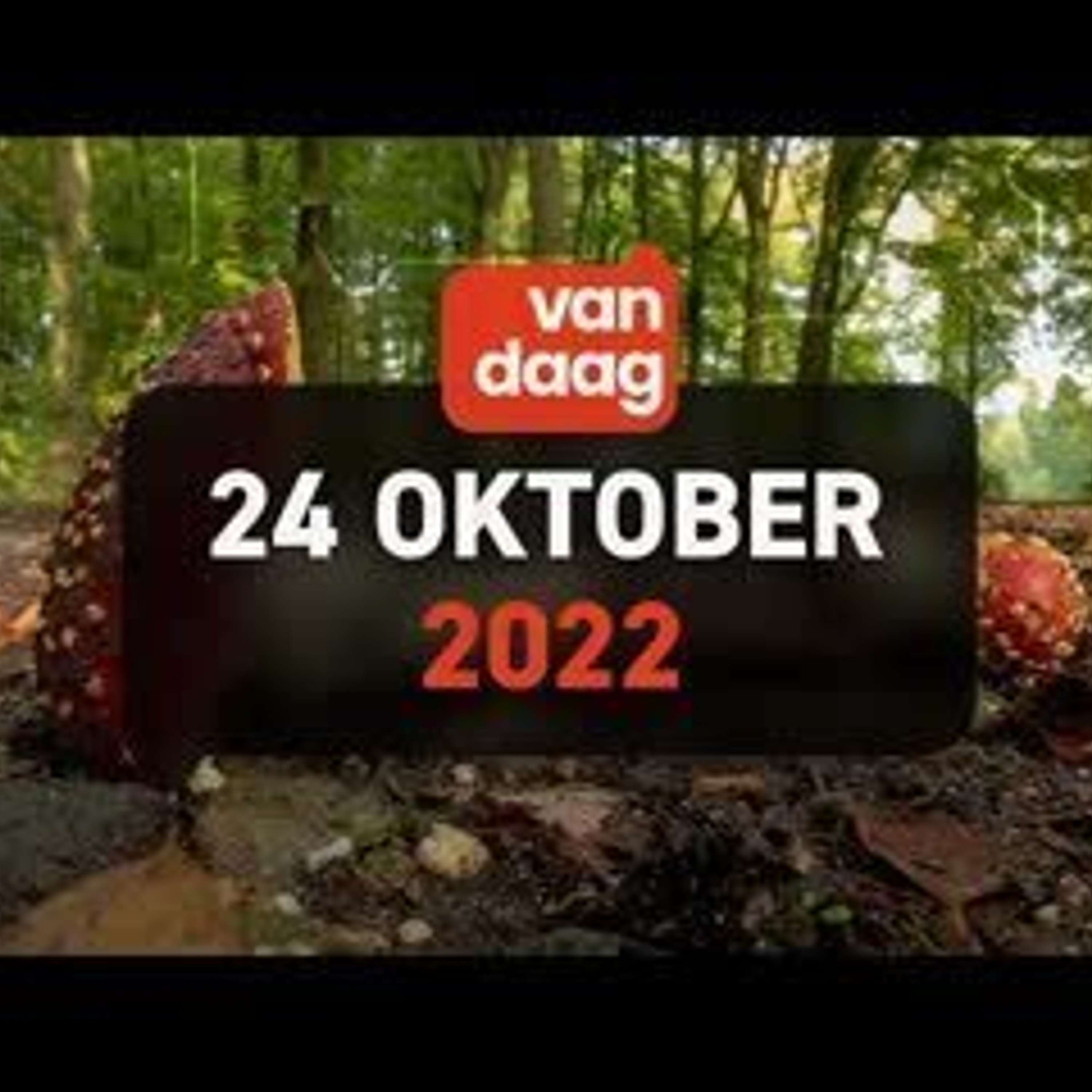 1Twente Vandaag