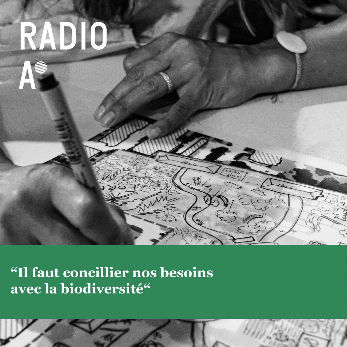 “Il faut concilier nos besoins avec la biodiversité“ - LPO “Il faut concilier nos besoins avec la biodiversité“ - LPO