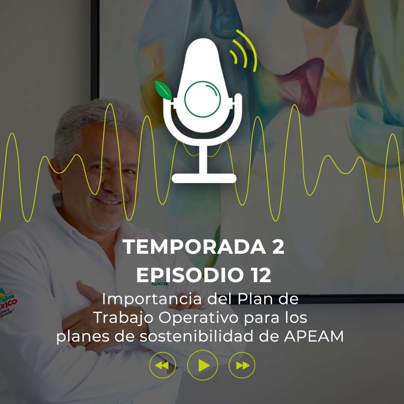 Importancia del Plan de Trabajo Operativo para los planes de sostenibilidad de APEAM