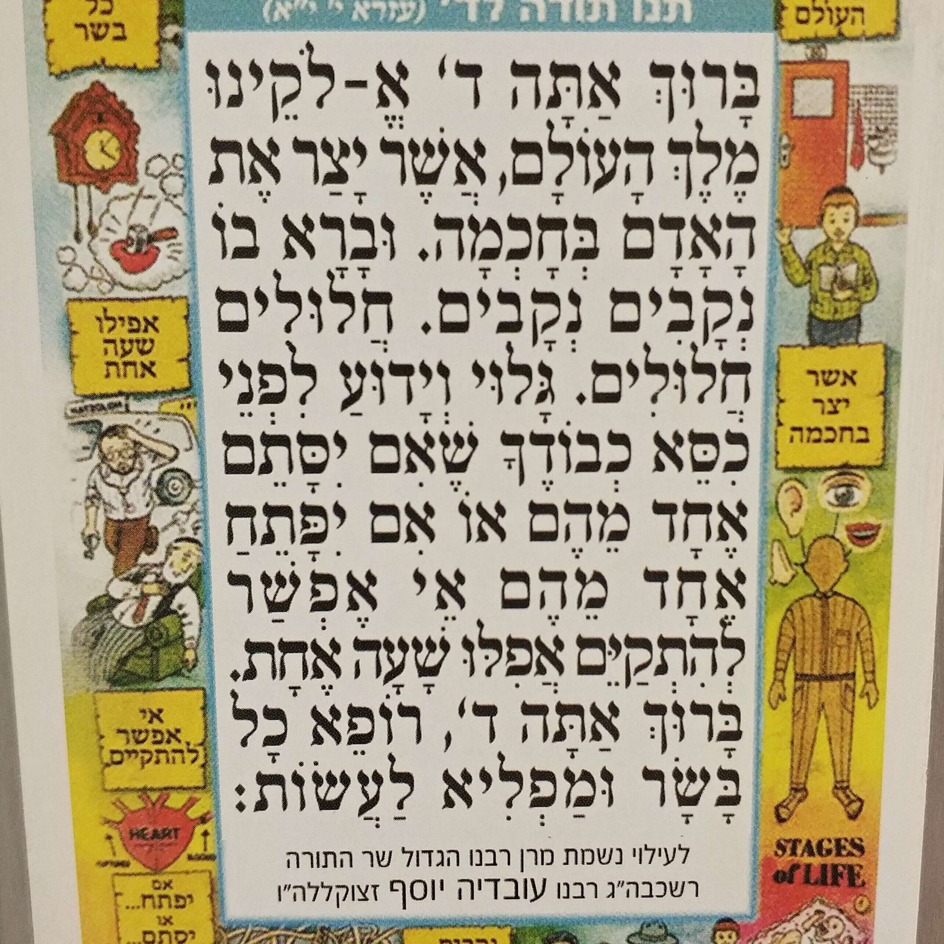 The Sweetness of the Siddur: Tfillah Insights of Chassidic Masters