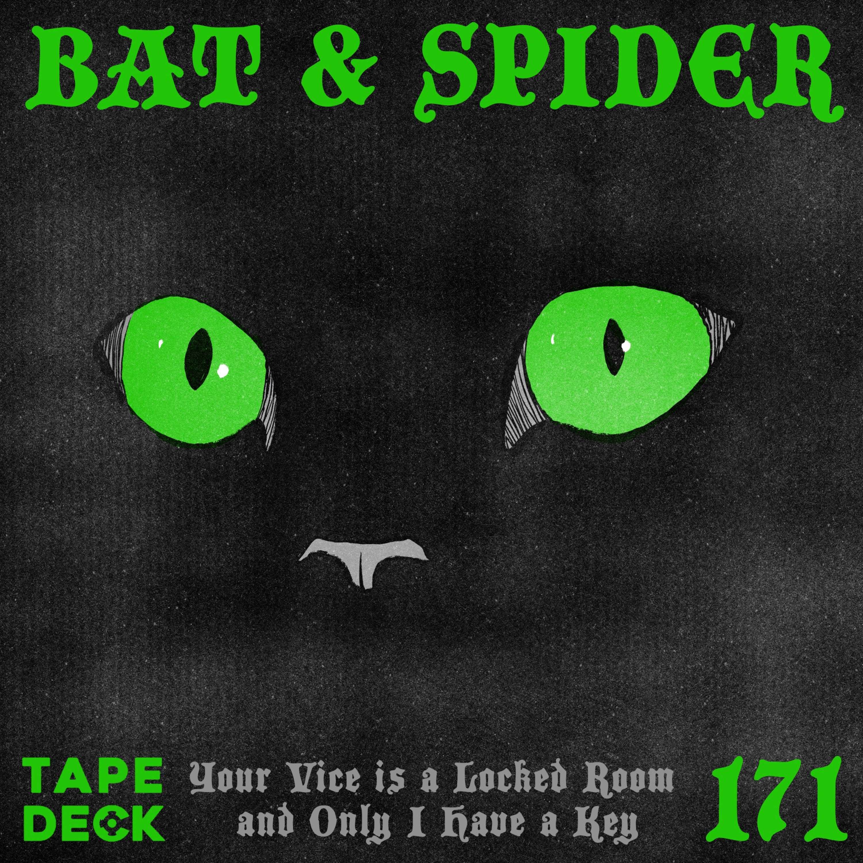 BAT AND SPIDER