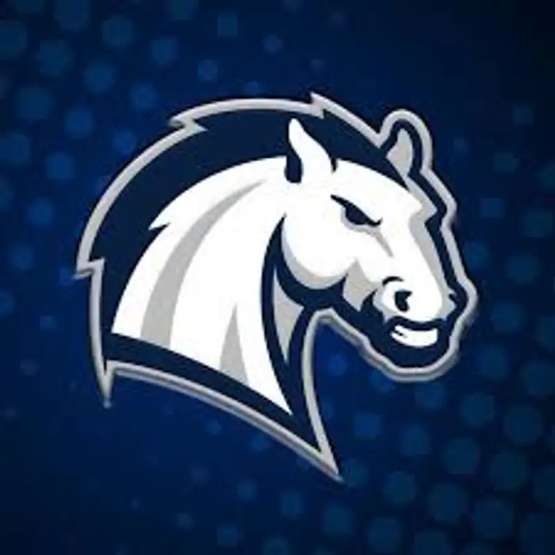 Women's Basketball: Hillsdale vs. Wayne State, 11/20/24