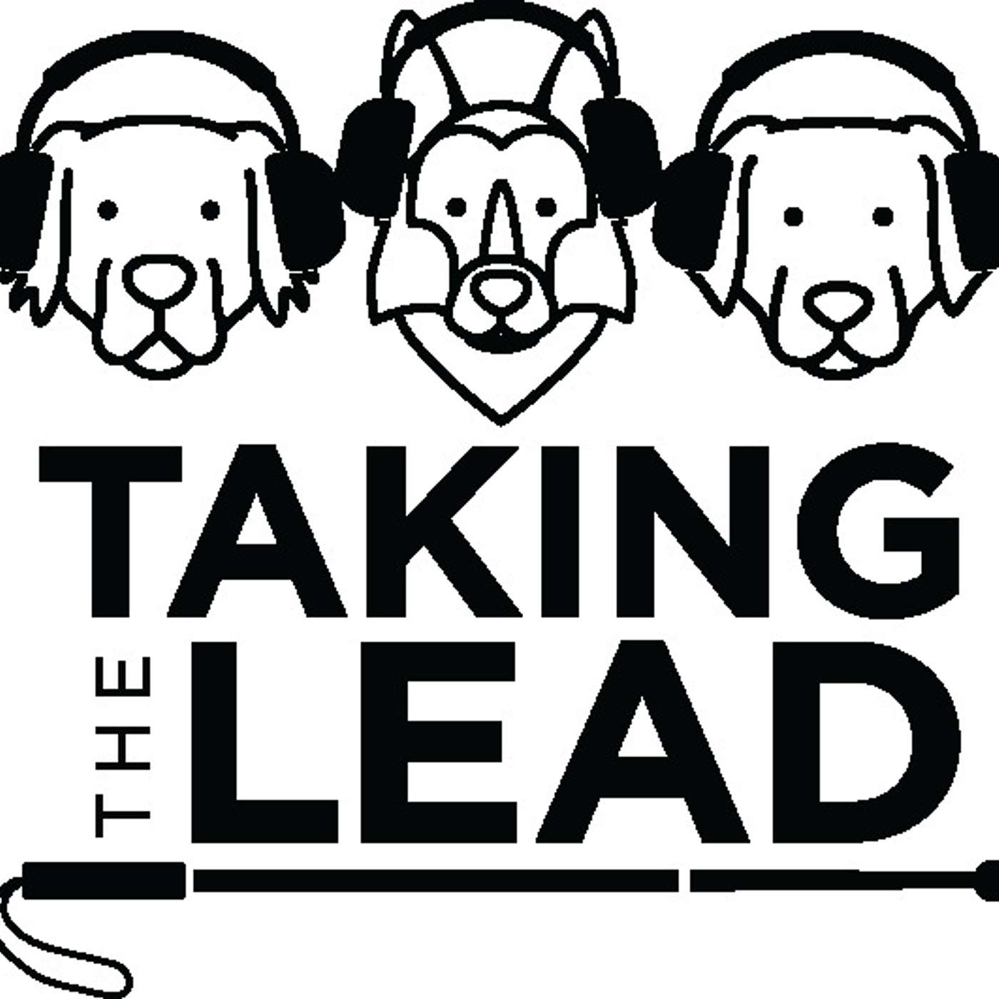 Taking the Lead