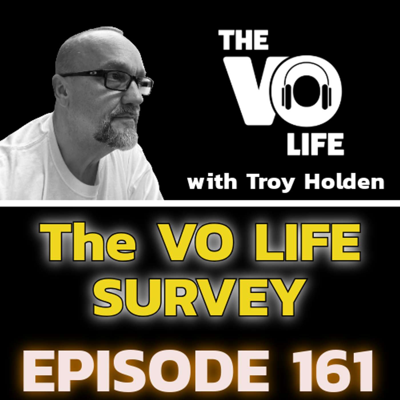 Ep 161 - The VO LIFE Survey Results