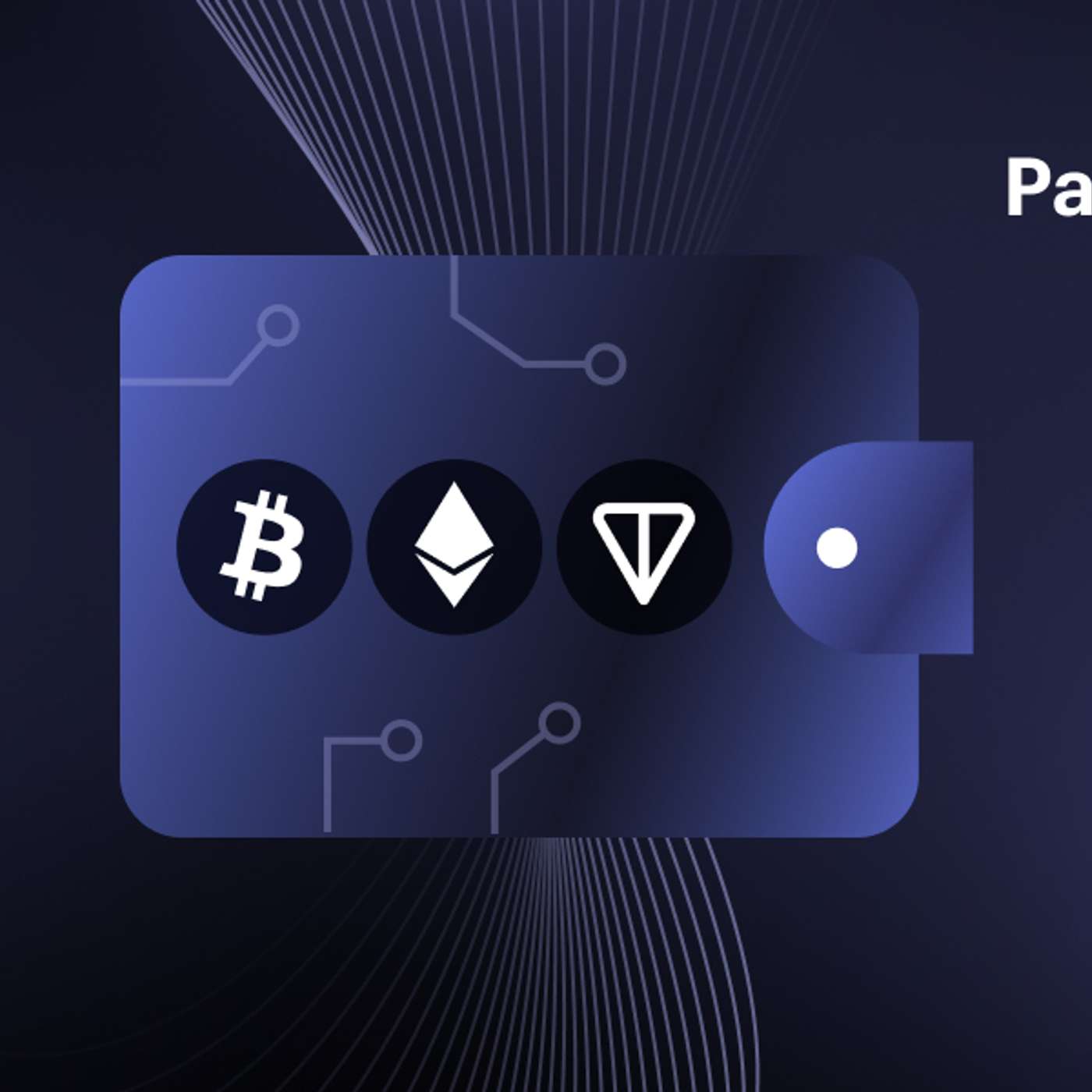 Over 200 Businesses Join Paybis’ Crypto Business Wallet in Q4