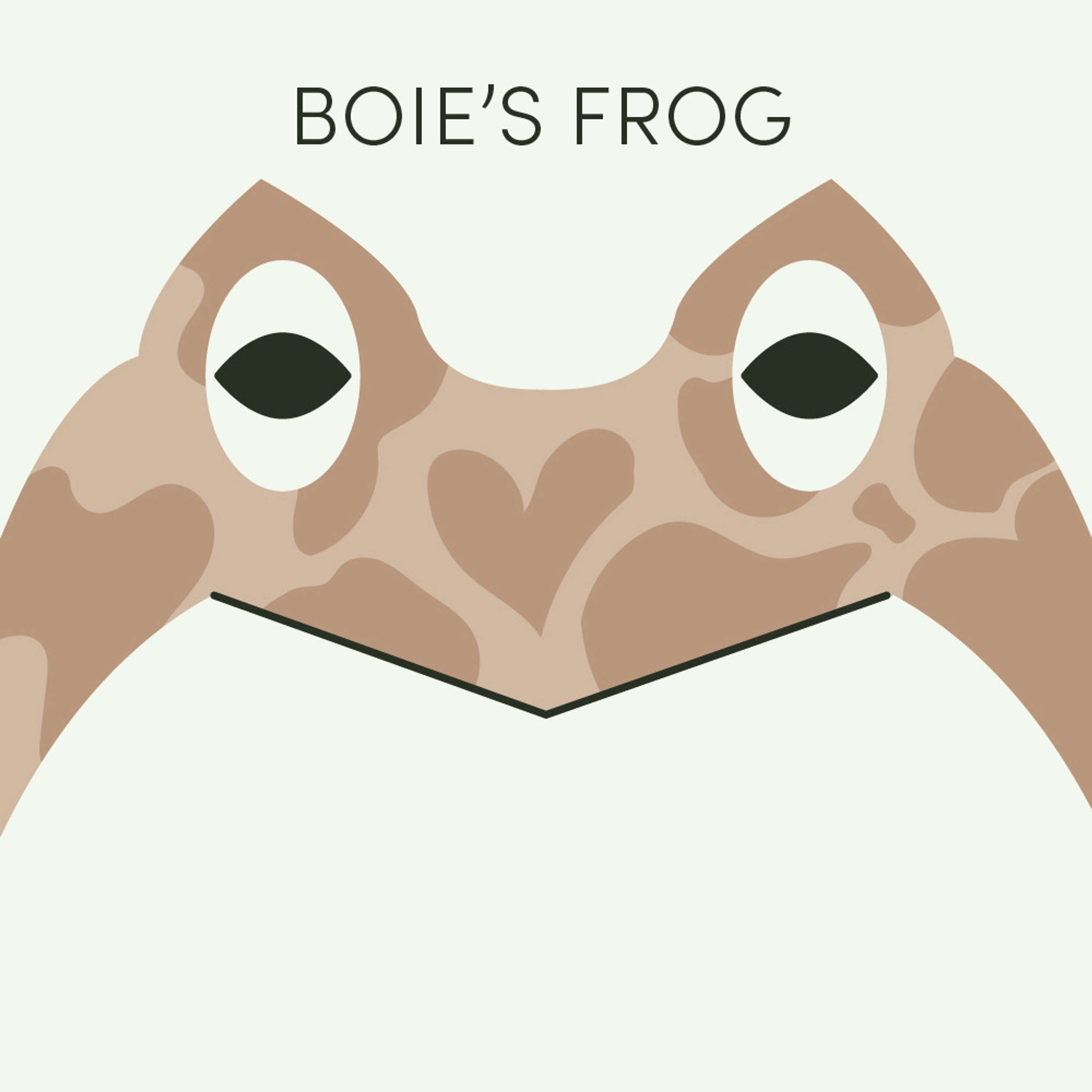 Boie's Frog | Week of January 22nd