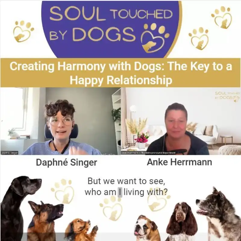 Daphné Singer - Creating Harmony with Dogs: The Key to a Happy Relationship