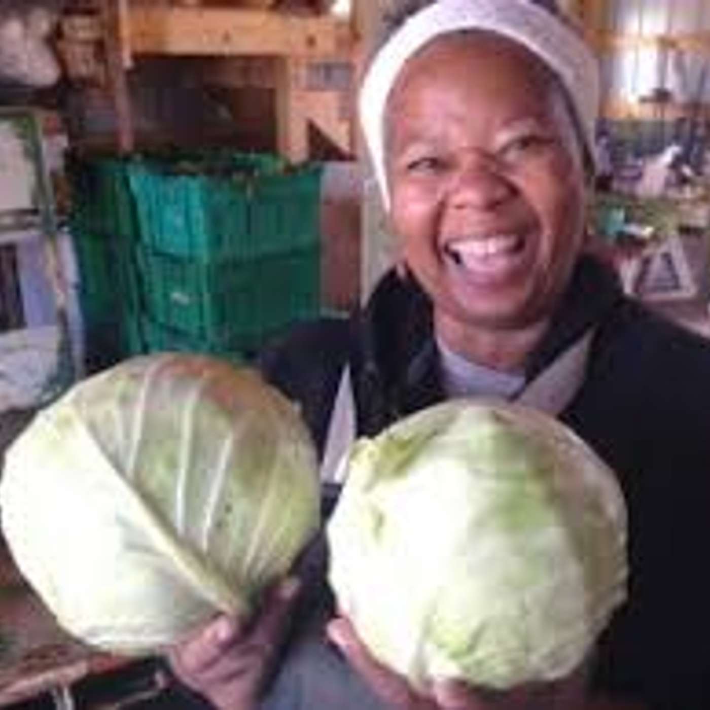 The Story of Big Train Farm, Certified by the Real Organic Project