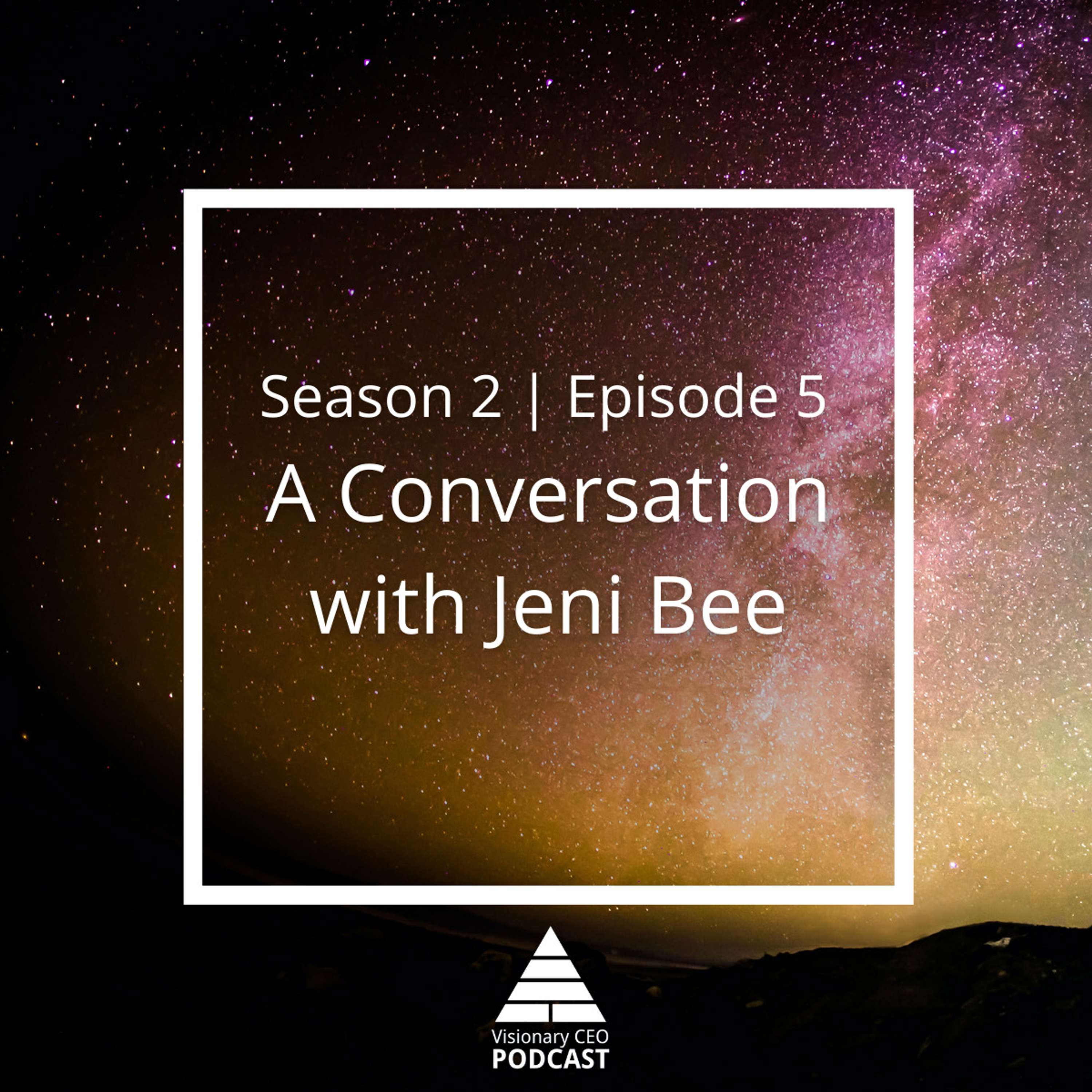 Visionary CEO Podcast