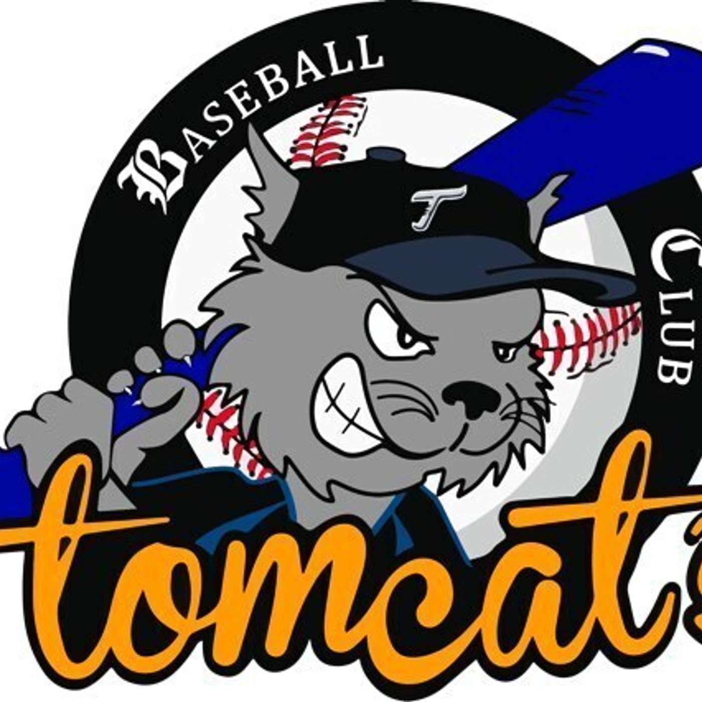 BDB - Episode 4 - Tomcats de Tremblay en France - Se battre pour imposer la mixité