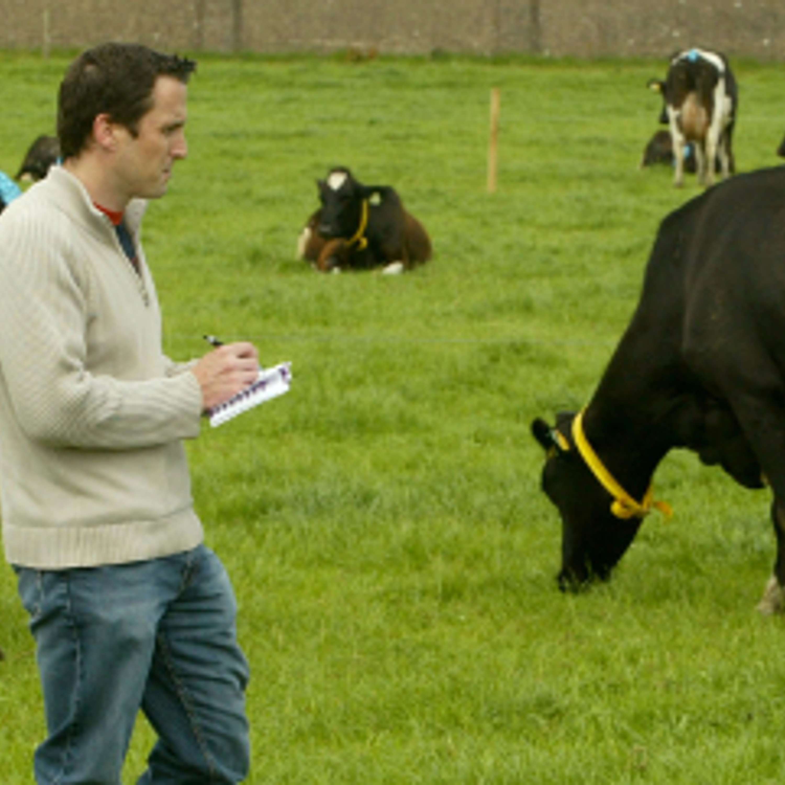 The Dairy Edge