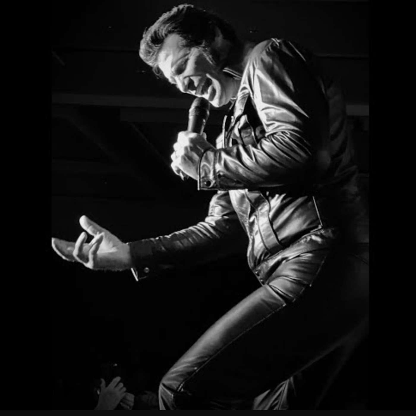 Interview with Elvis Impersonator Randy Demartini