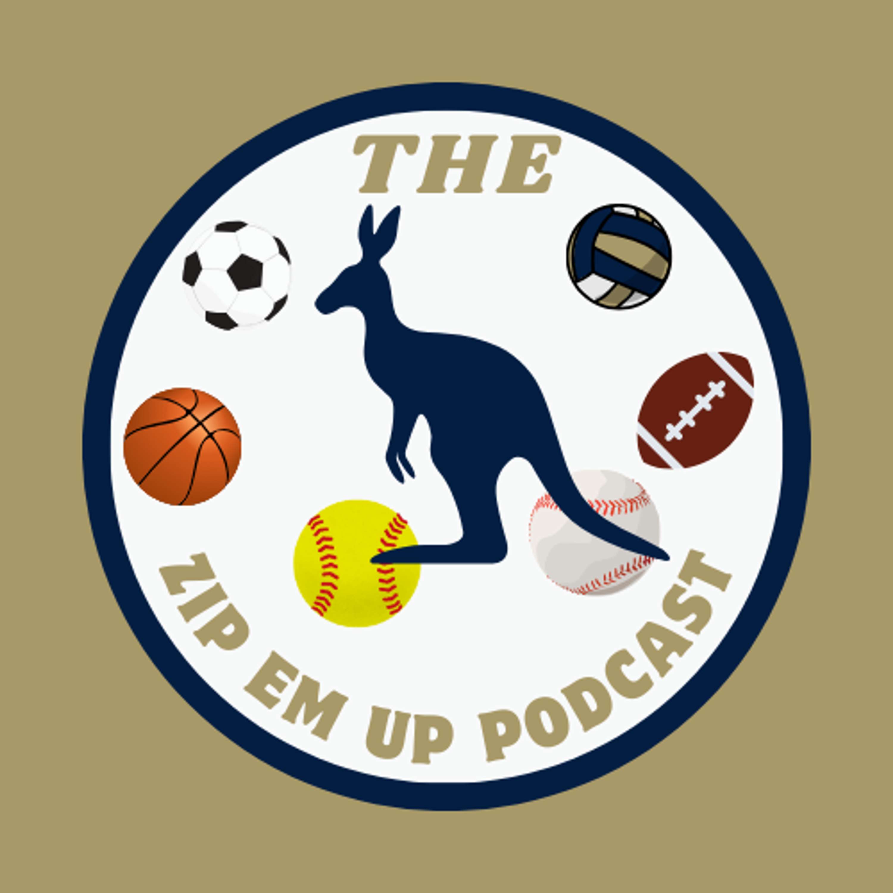 The ZIP Em Up Podcast podcast artwork