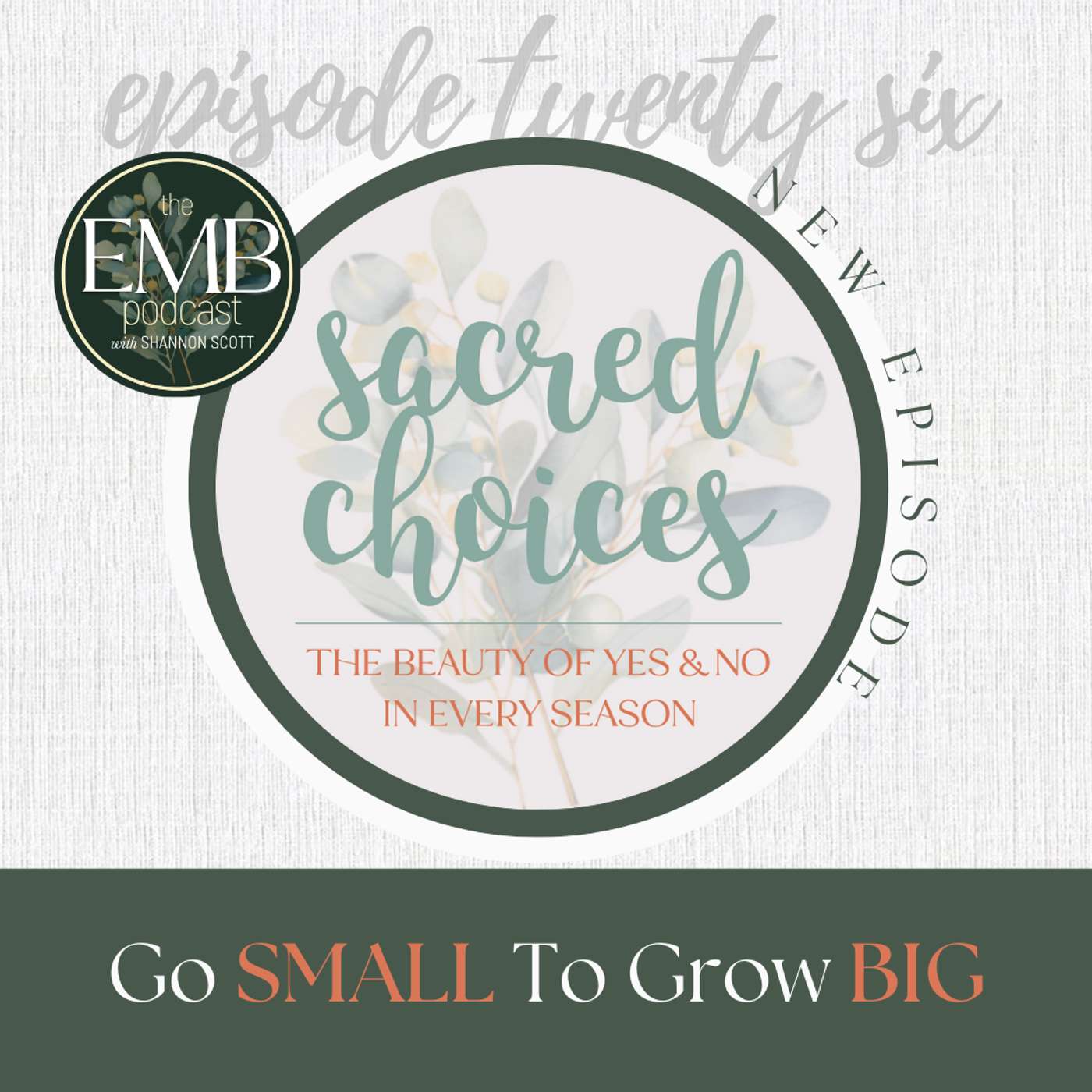 EMB EP 26 | Go Small to Grow Big