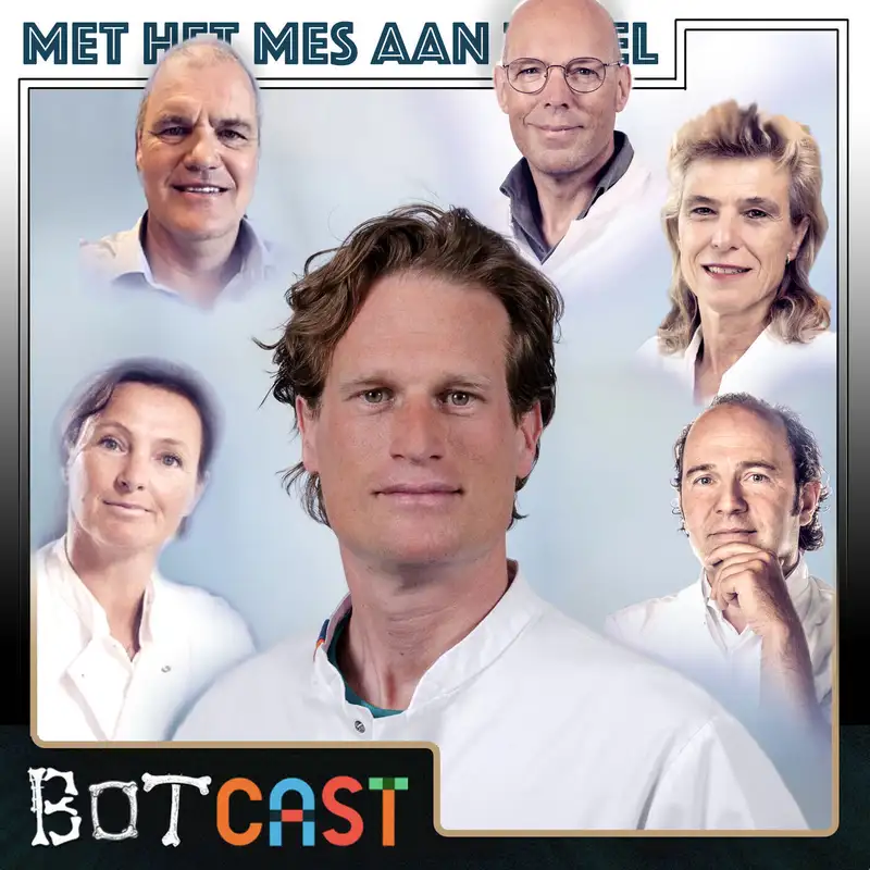 Vijf Hoogleraren over Mentorschap