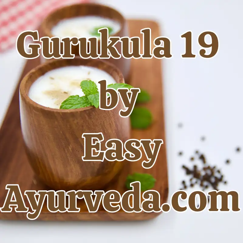 GURUKULA 19: Takra (Buttermilk) - A Nectar for Humans | Method of Preparation of Takra (Buttermilk)