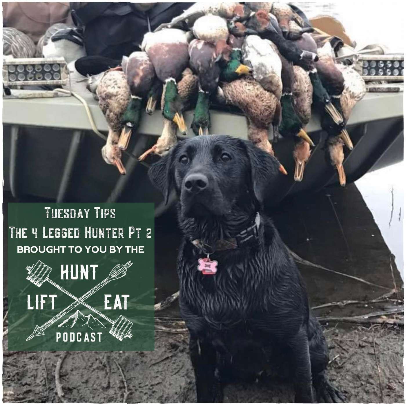 The Hunt Lift Eat Podcast