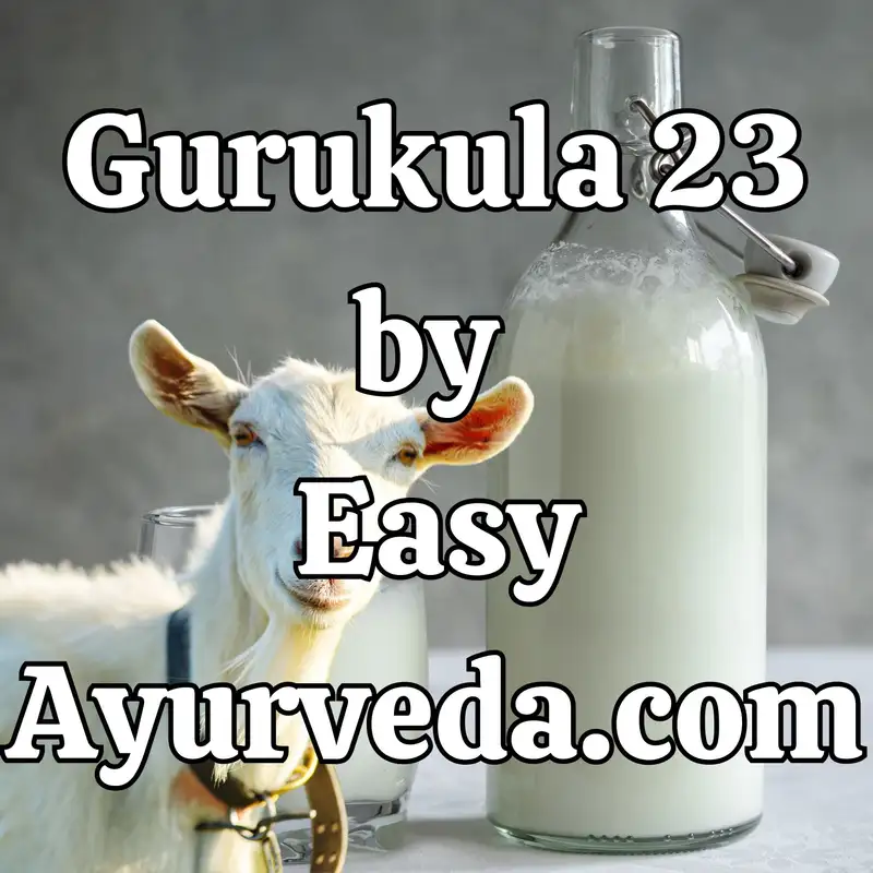 Gurukula 23 : Goat milk Health benefits | Cow milk vs Goat milk | Goat milk remedies