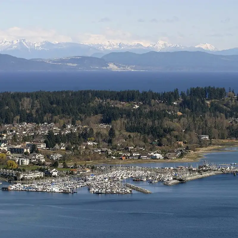 Comox council hears from local homeless coalition