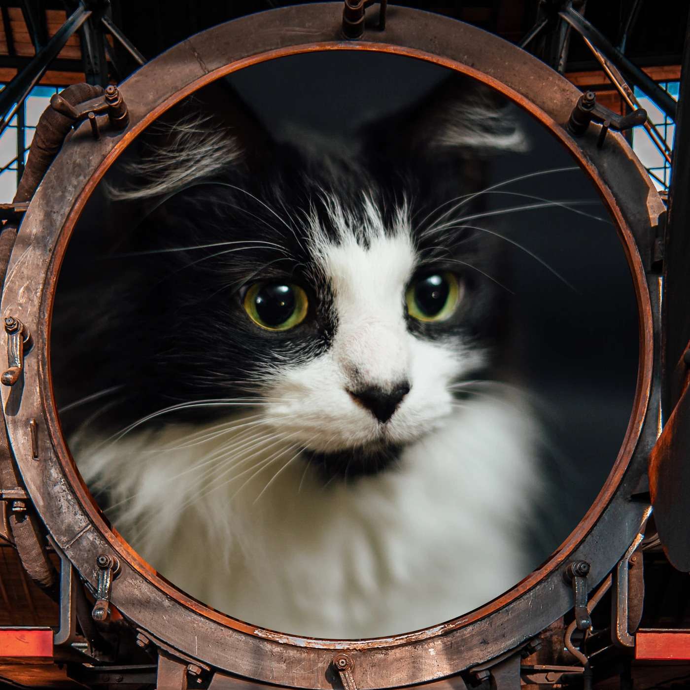 Roscoe & Bailey on the Trail of the Hamster Napper